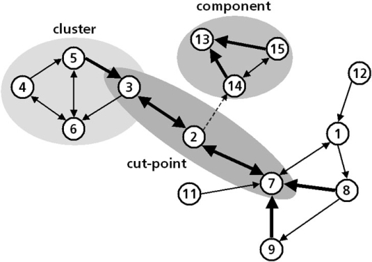 Abbildung 1: Cluster, Komponenten und Brücken