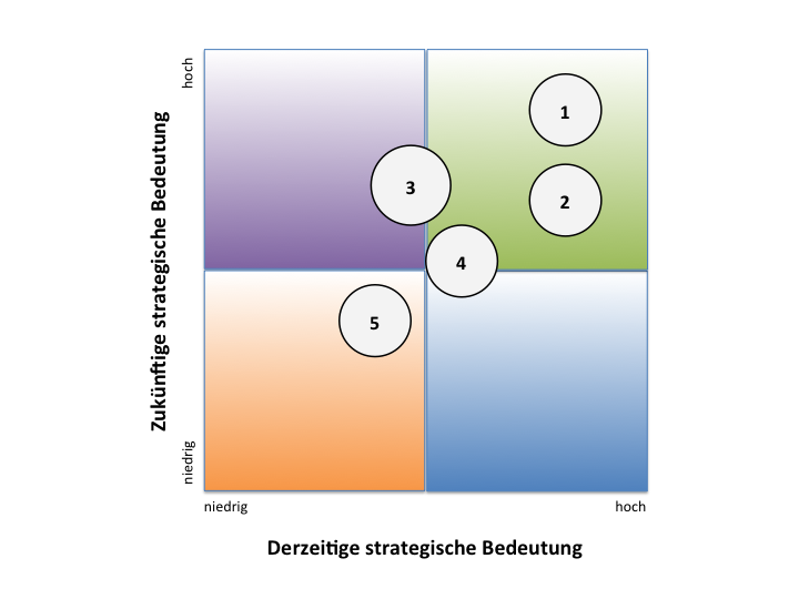 Abbildung 2: Portfolio strategischer Wissensgebiete 